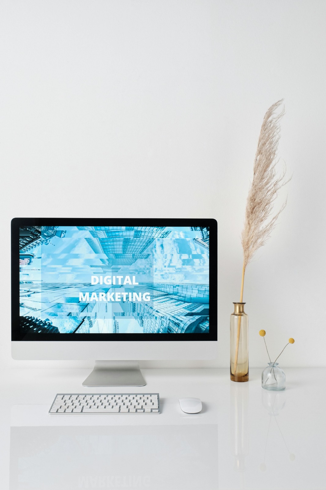 Best Digital Marketing Agency in Kuwait – Sidigiqor Technologies